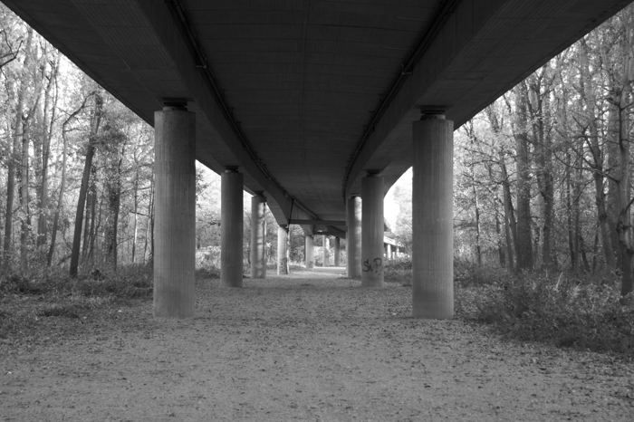 Photos 2018 – Photo 14 of 67