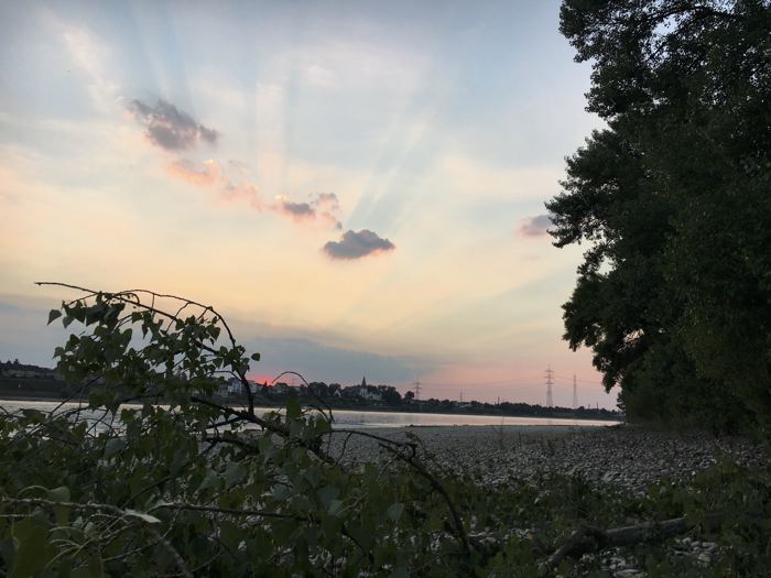 Photos 2018 – Photo 64 of 67
