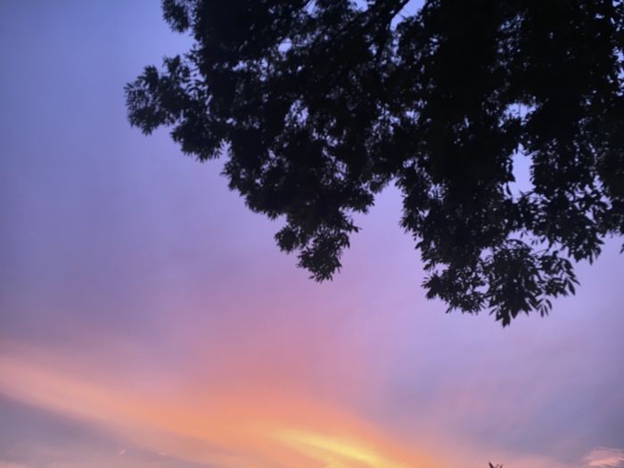 Photos 2018 – Photo 59 of 67