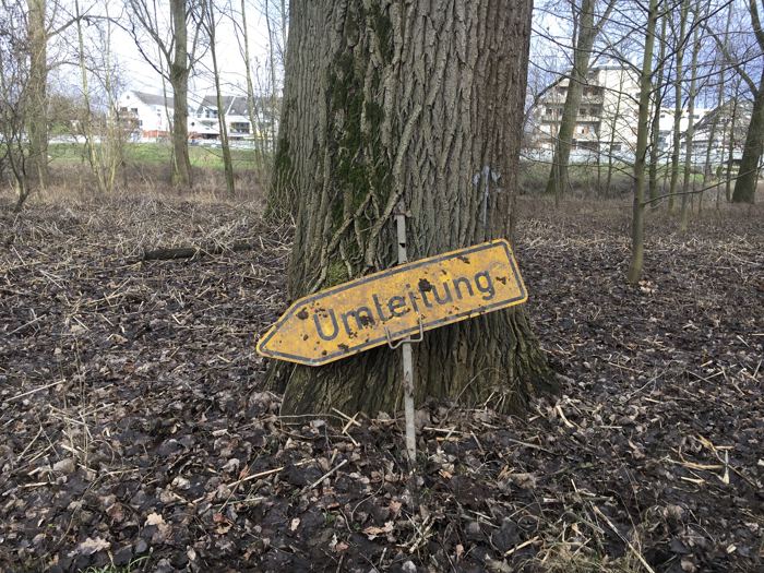 Photos 2019 – Photo 17 of 79