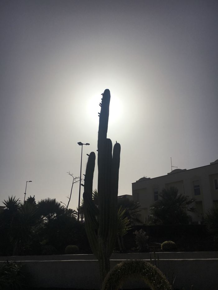 Photos 2019 – Photo 20 of 79