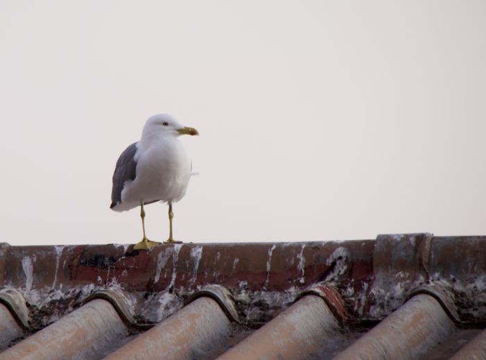 Photos 2019 – Photo 63 of 79