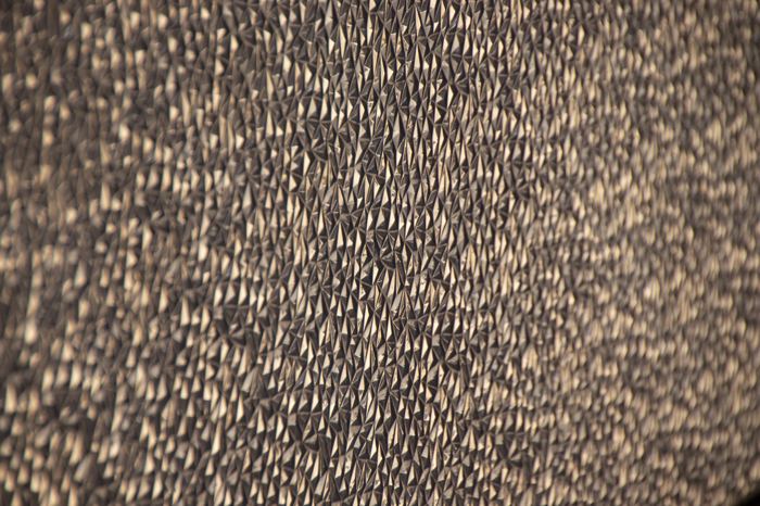 Photos 2019 – Photo 37 of 79