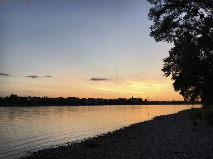 Photos 2019 – Photo 36 of 79