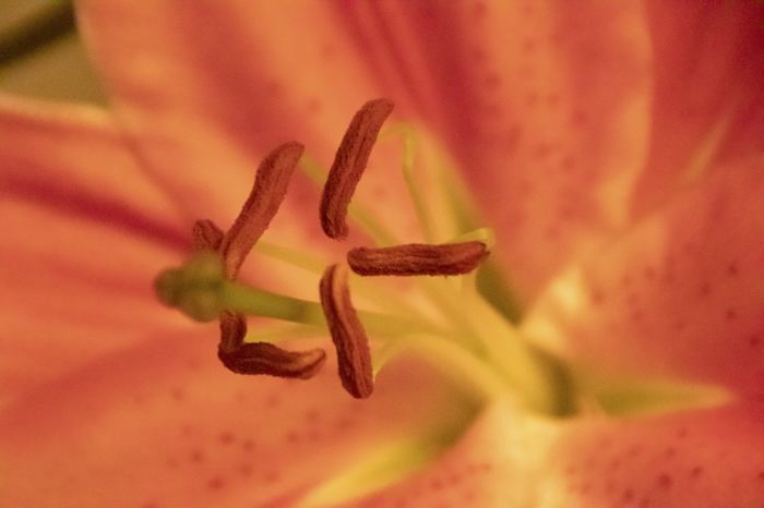 Photos 2019 – Photo 35 of 79